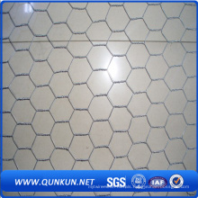 High Quality Galvanized Hexagonal Wire Mesh